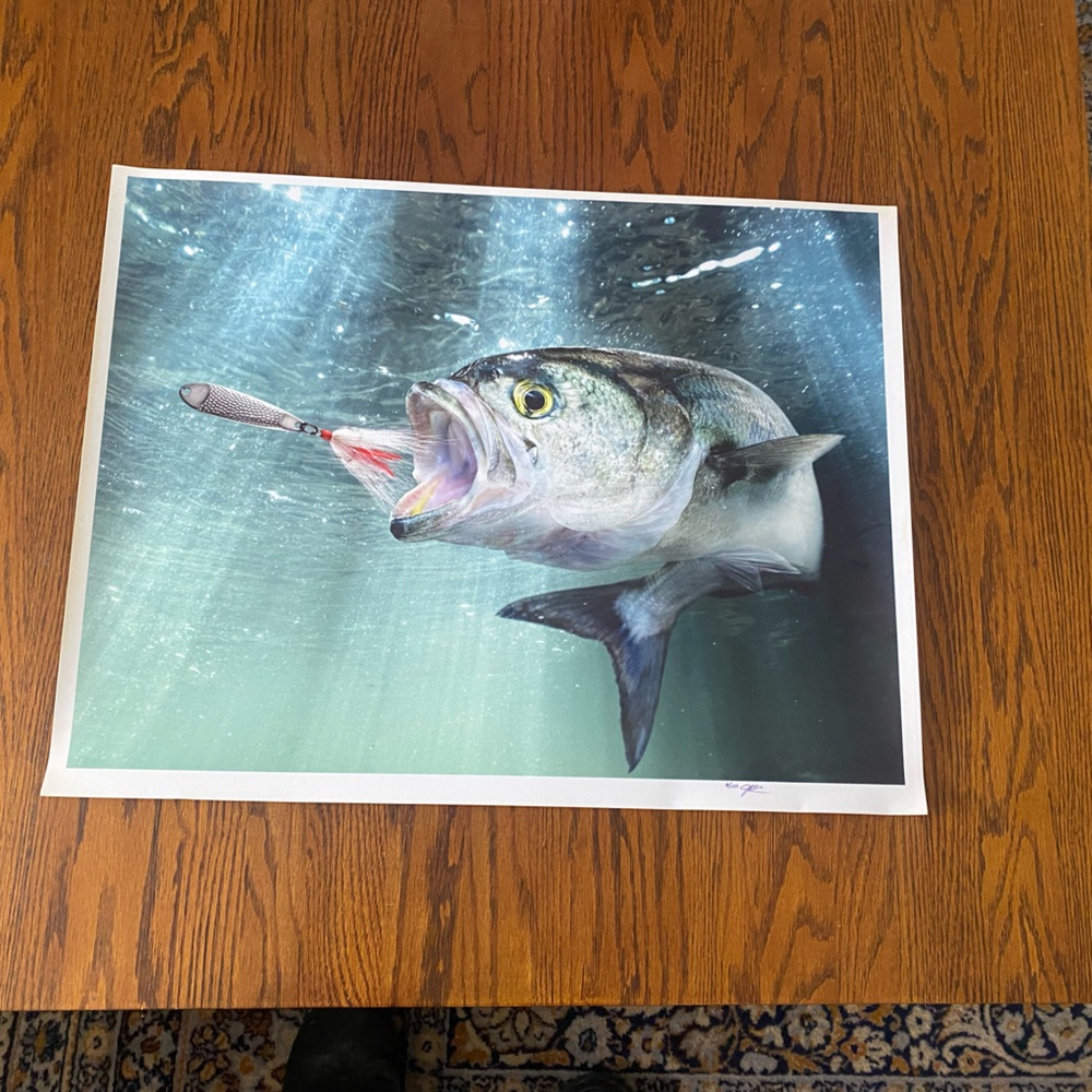 Original 22x17 photoprint Striper with lure